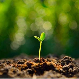 Meet your Posher, Deb